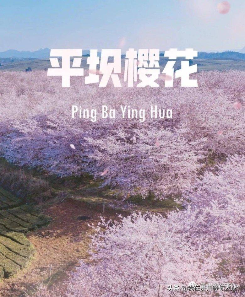PERT II型保温管的组成